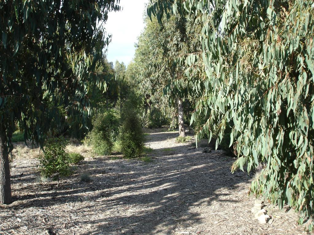 Posto Bello North Loburn Εξωτερικό φωτογραφία